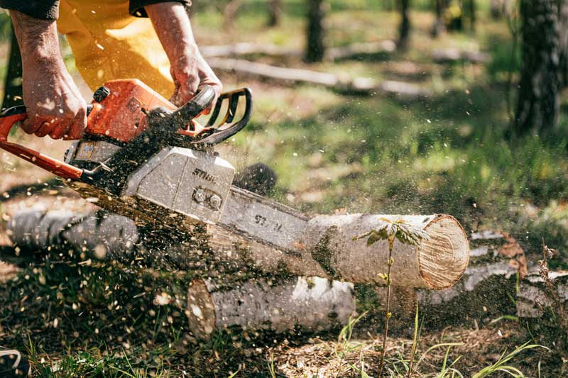workman using chainsaw