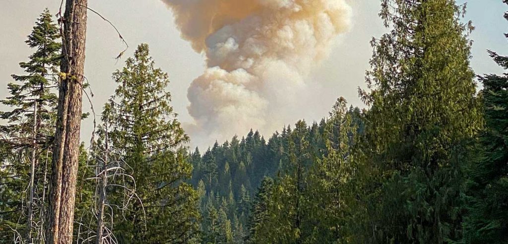smoke from a fire rising up from the forest