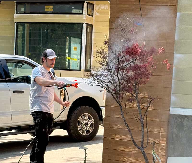 Spraying the Komodo product on a tree