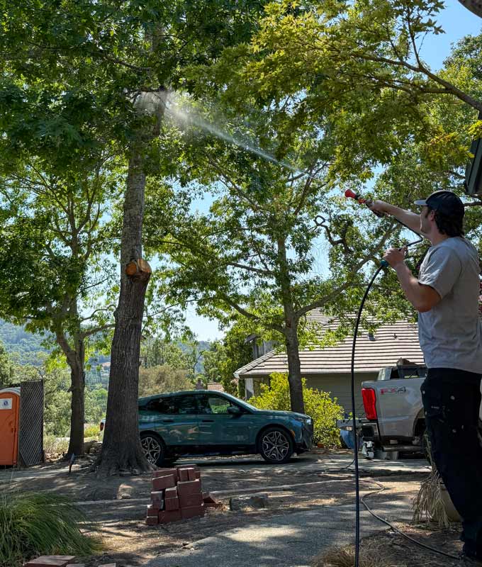 man spraying trees with fire retardant