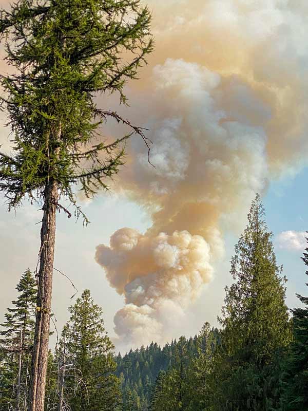 Wildfire smoke rising high into the sky